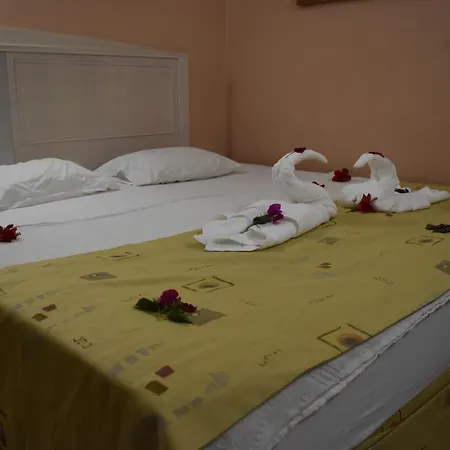 Hotel Ares Dream 4*